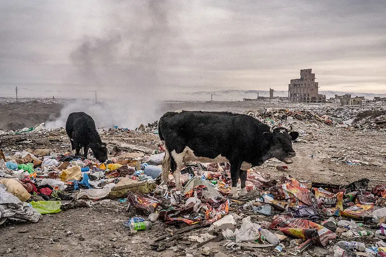 Mongolia_s Children at Risk_The Devastating Impact of Air Pollution_07 Natalya Saprunova